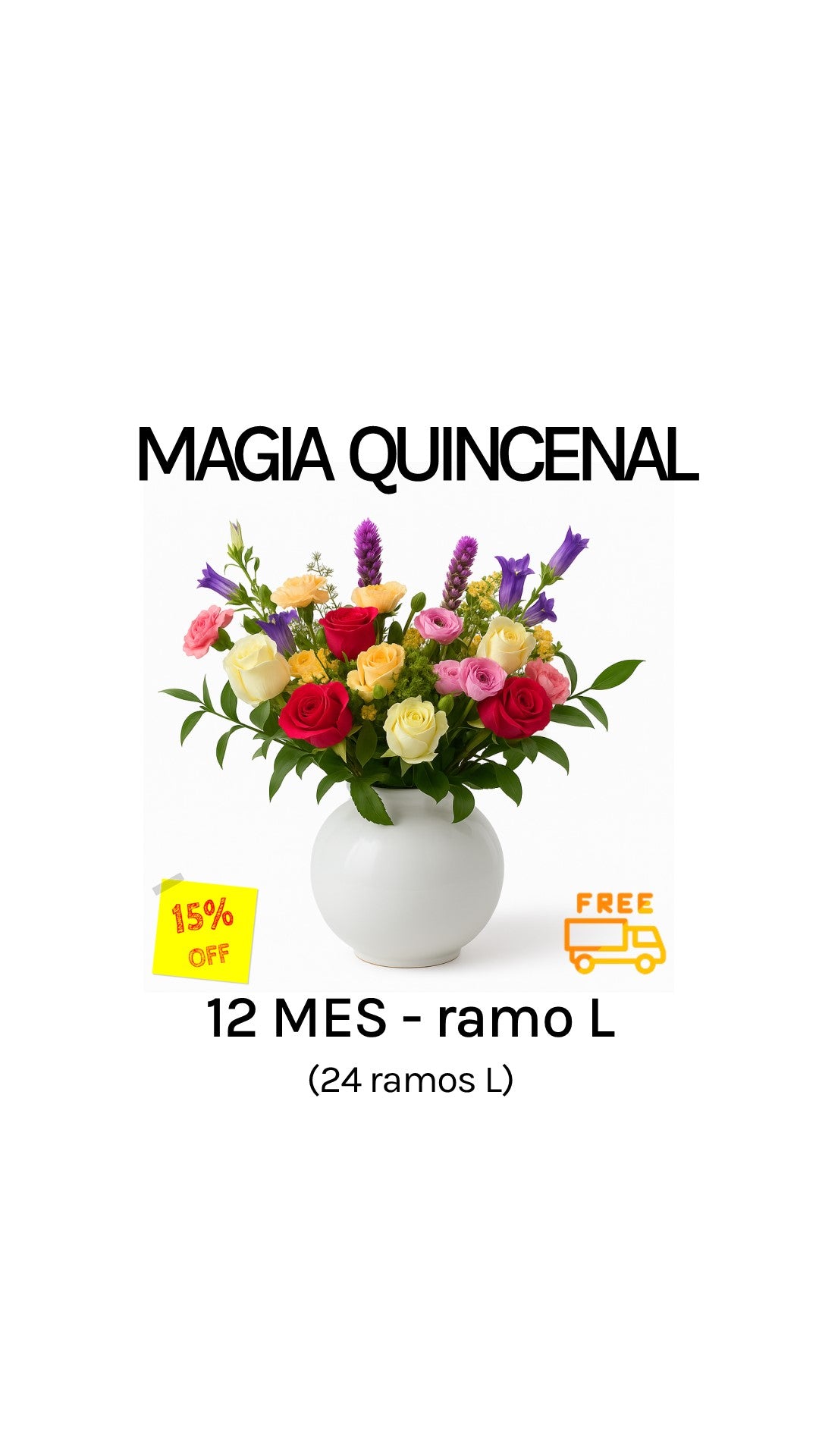 Suscripción quincenal por 12 meses tamaño L