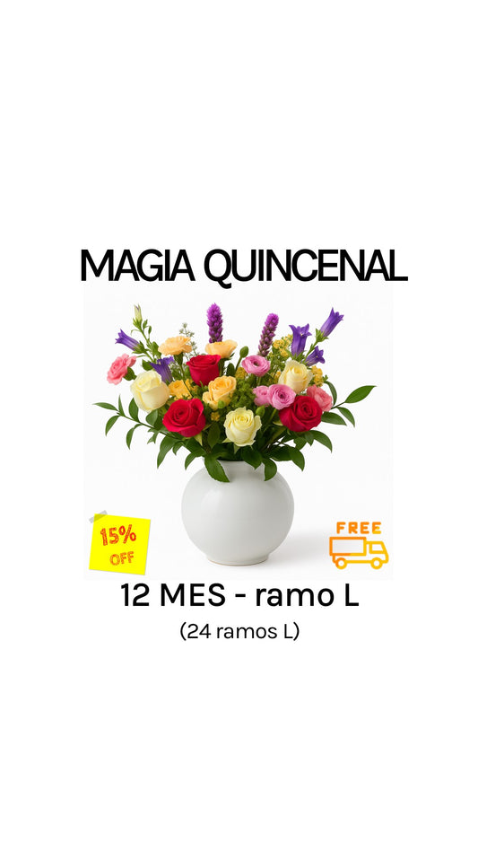 Suscripción quincenal por 12 meses tamaño L