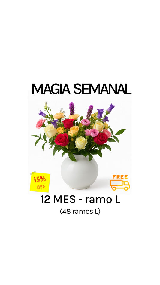 Suscripción semanal por 12 meses tamaño L