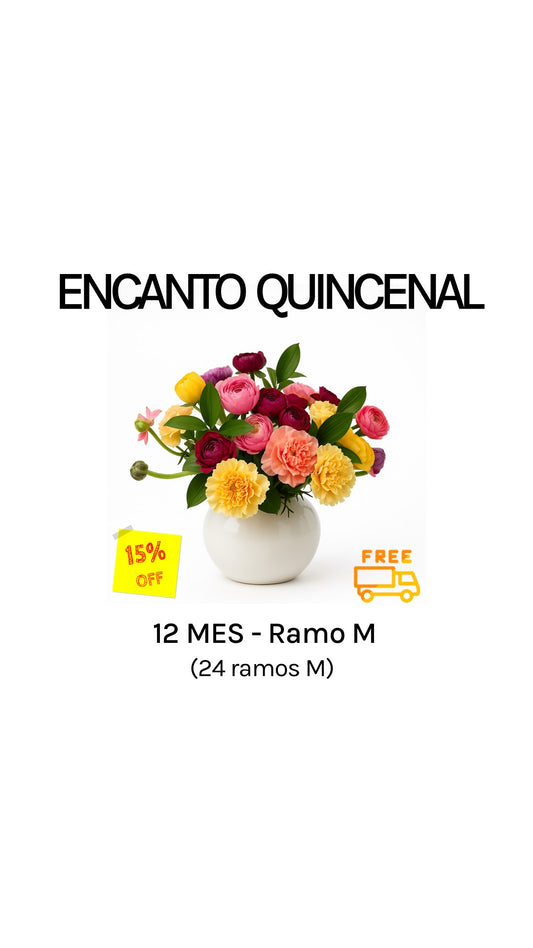 Suscripción quincenal por 12 meses tamaño M