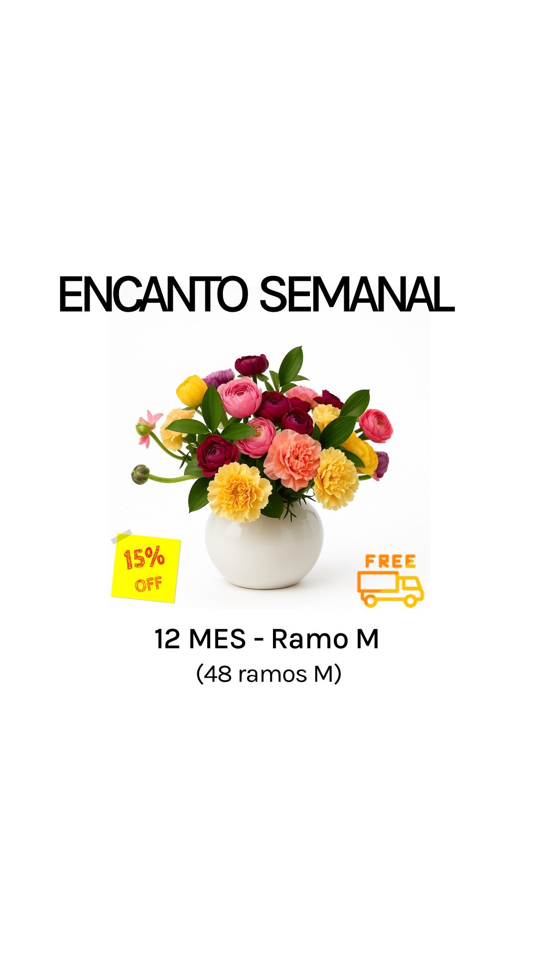 Suscripción semanal por 12 meses tamaño M