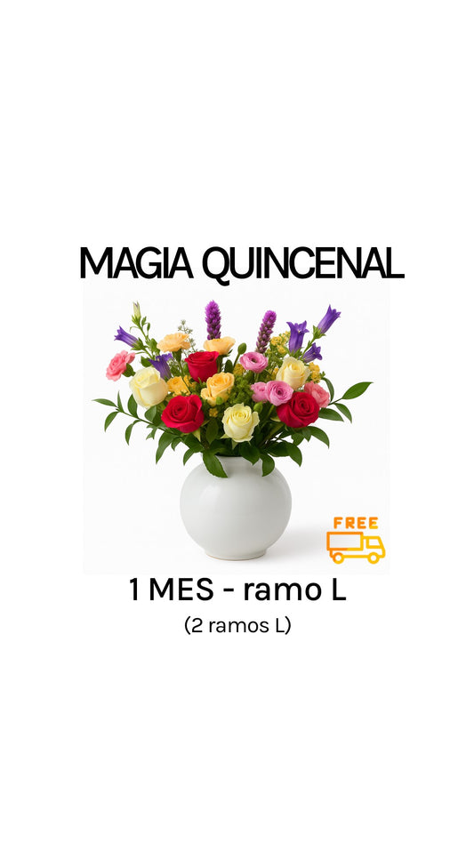 Suscripción quincenal por 1 mes tamaño L