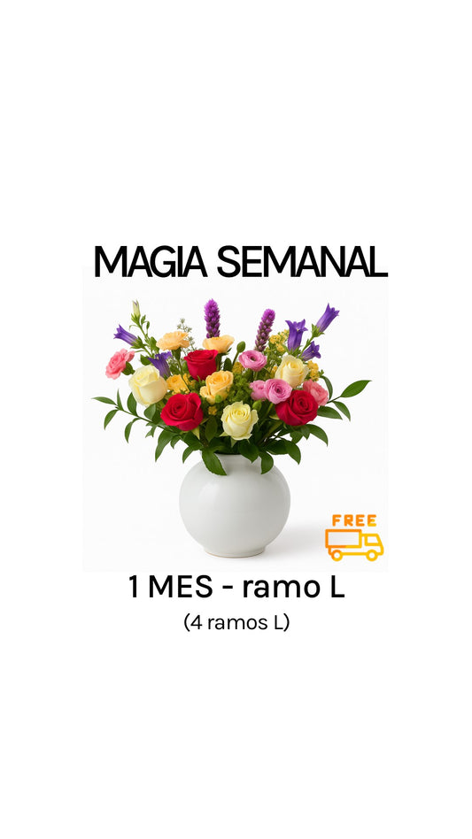 Suscripción semanal por 1 mes tamaño L