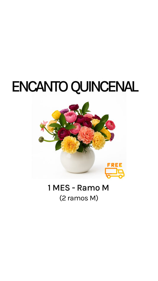 Suscripción quincenal por 1 mes tamaño M