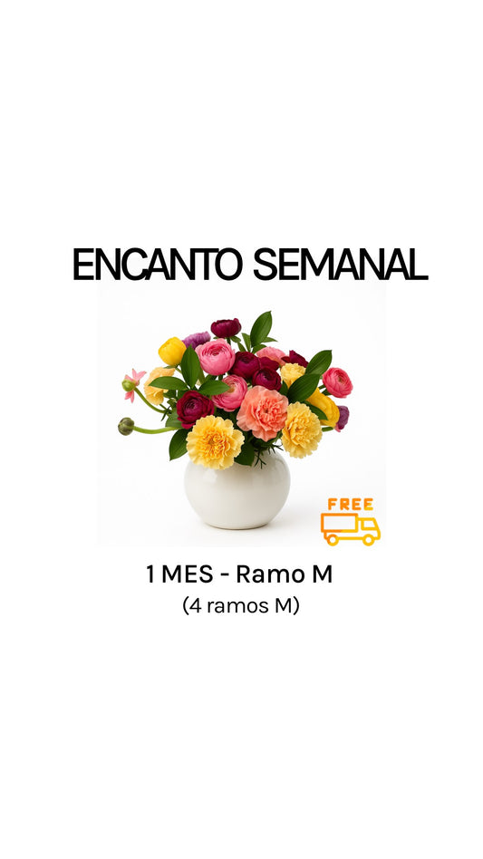 Suscripción semanal por 1 mes tamaño M