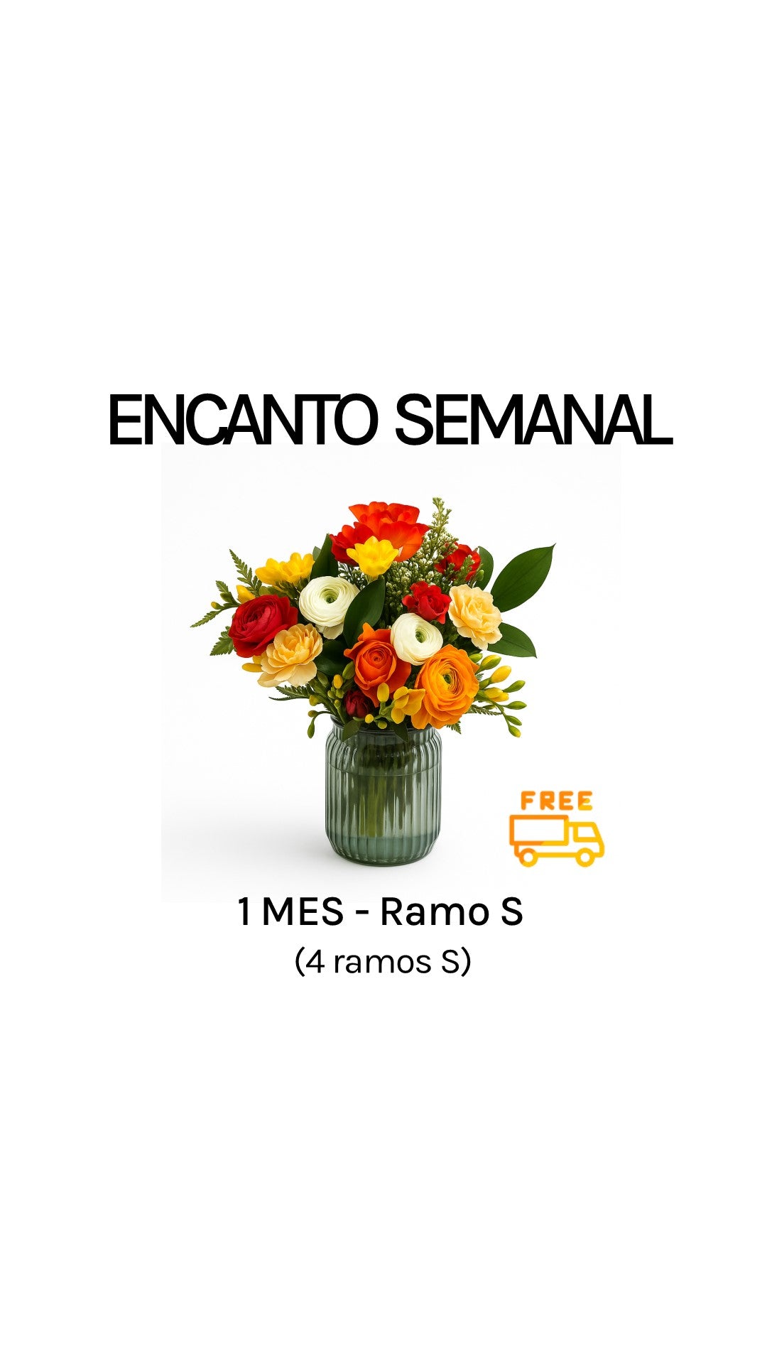 Suscripción semanal por 1 mes tamaño S