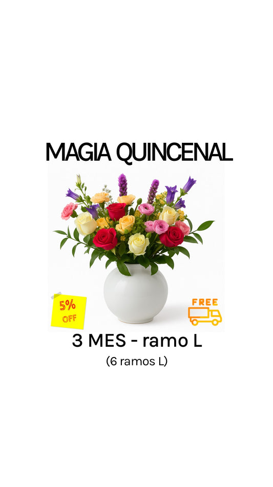 Suscripción quincenal por 3 meses tamaño L