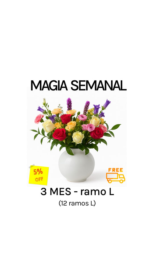 Suscripción semanal por 3 meses tamaño L