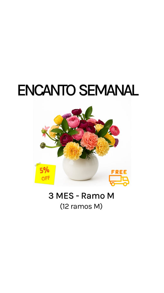 Suscripción semanal por 3 meses tamaño M