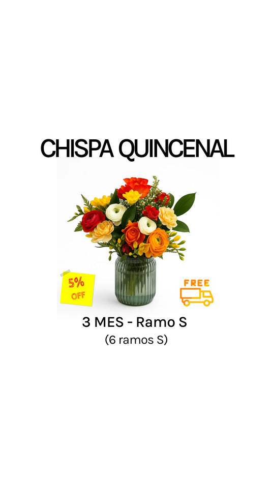 Suscripción quincenal por 3 meses tamaño S