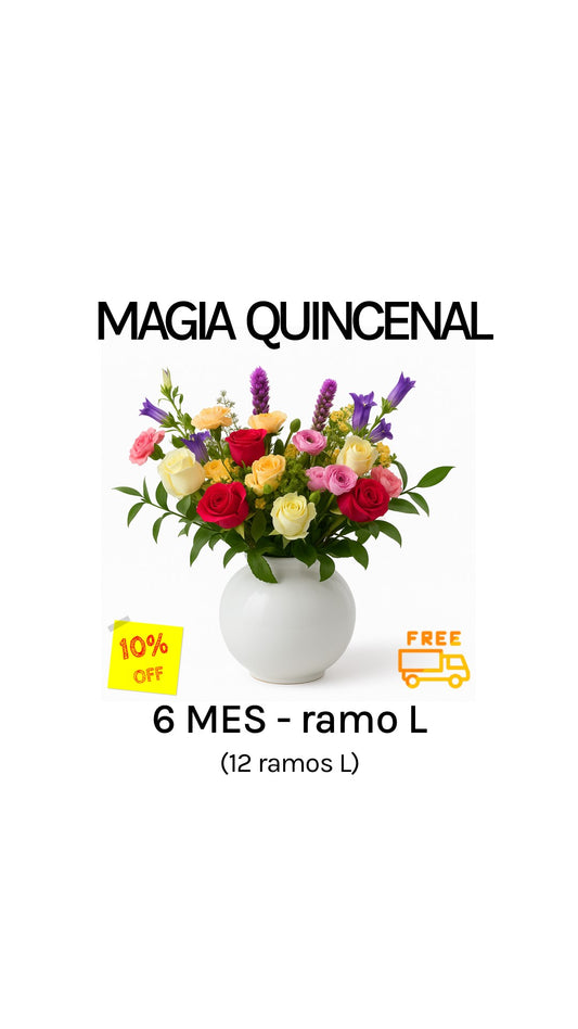 Suscripción quincenal por 6 meses tamaño L