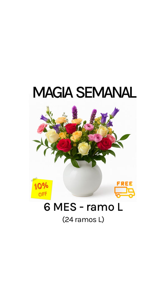 Suscripción semanal por 6 meses tamaño L