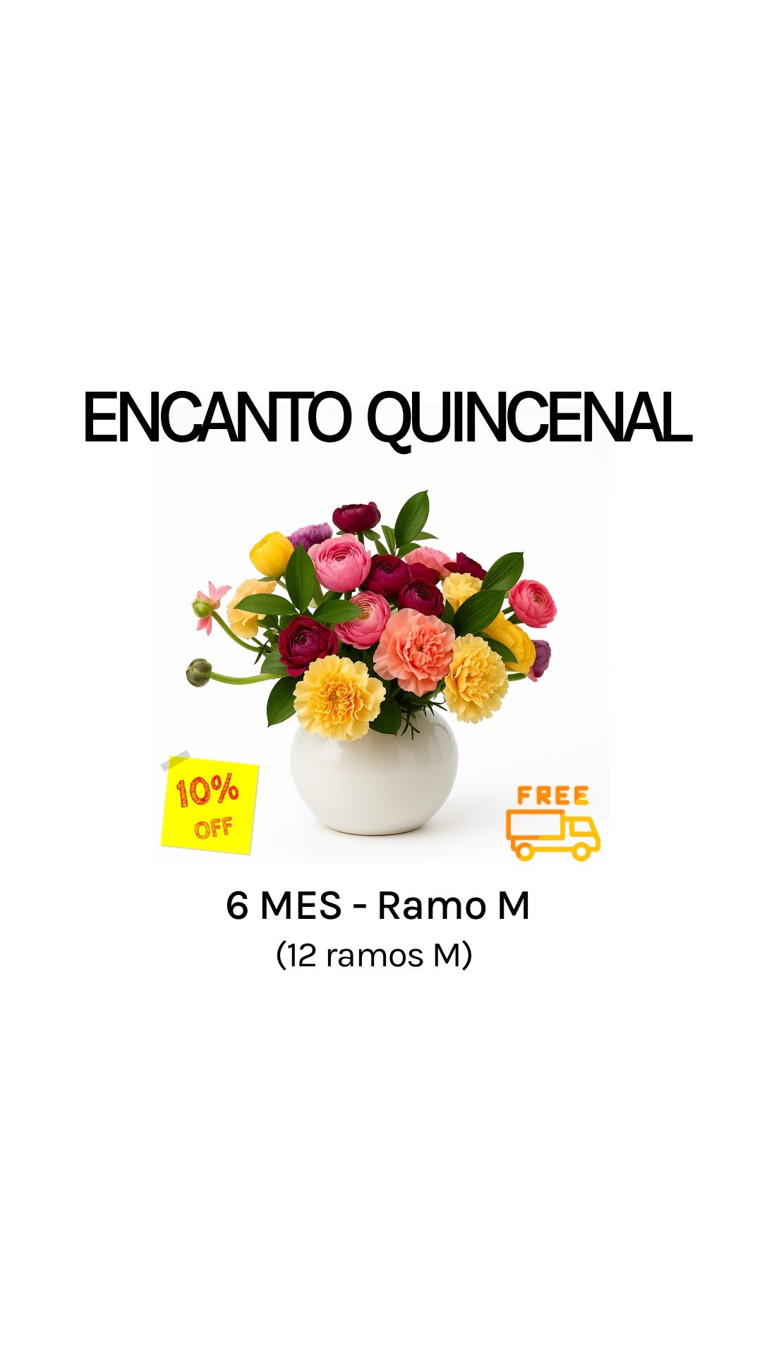 Suscripción quincenal por 6 meses tamaño M