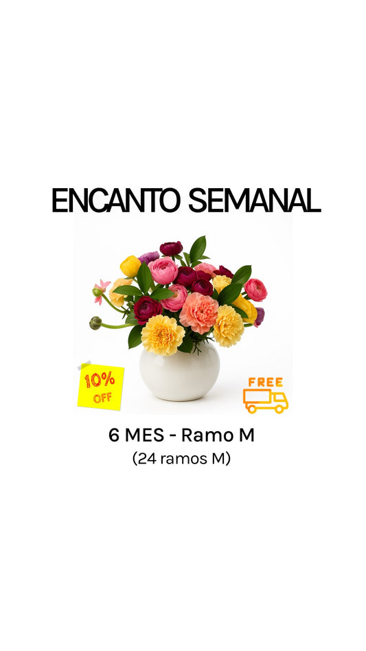 Suscripción semanal por 6 meses tamaño M