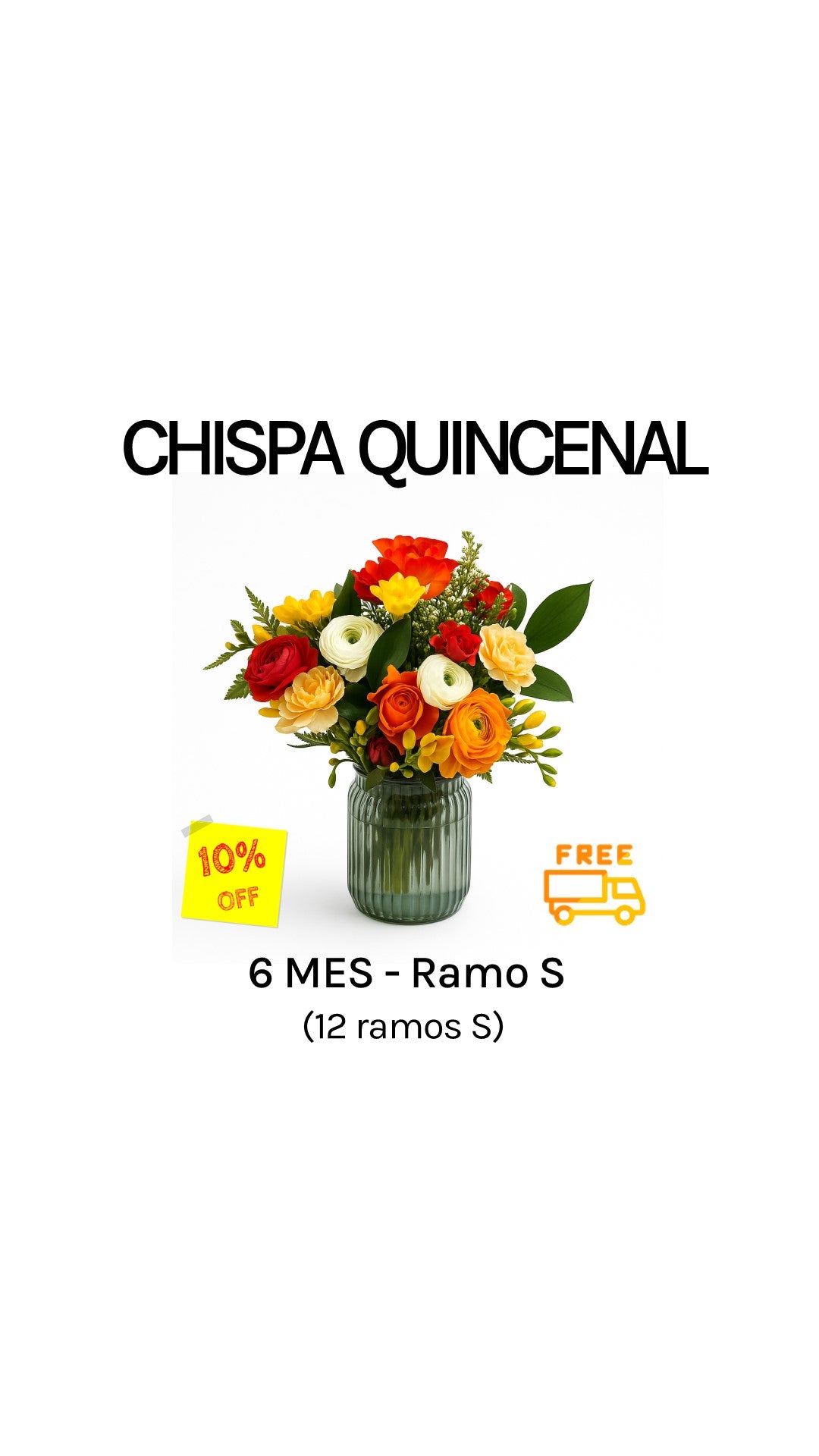 Suscripción quincenal por 6 meses tamaño S