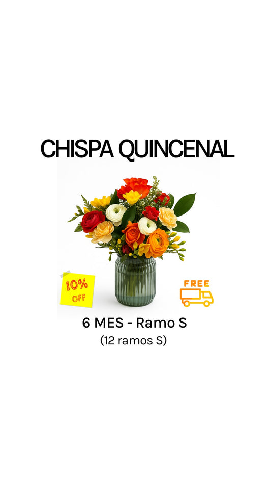 Suscripción quincenal por 6 meses tamaño S